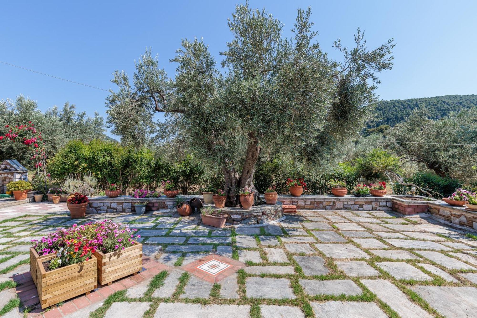 Aretousa Studios & Apartments Skopelos Town Exterior photo